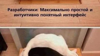 Photo of Интуитивно понятный интерфейс