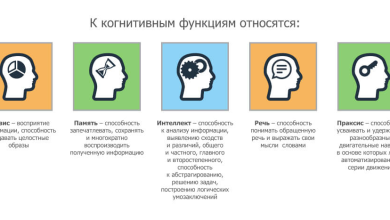 Photo of Развитие умственных способностей